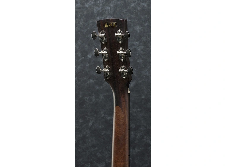 Ibanez PC-12MH OPN akgitar 